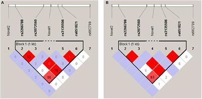 Sequence Analysis of APOA5 Among the Kuwaiti Population Identifies Association of rs2072560, rs2266788, and rs662799 With TG and VLDL Levels